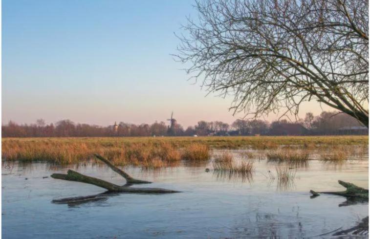 Villa Sari Steendam Esterno foto